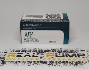 Anastrazole (Magnus) 2023 Просрок