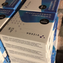 Chorionic Gonadotropin (Vizega)